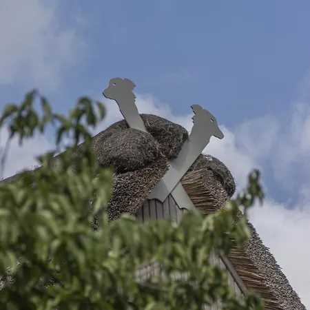 Design-landhaus Bunnyhuus - Gesamtes Haus *