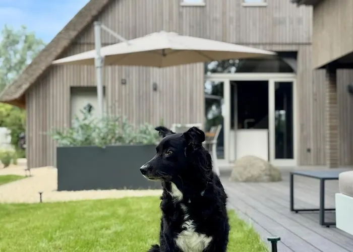 Design-landhaus Bunnyhuus - Gesamtes Haus